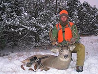 Elk