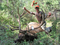 Elk
